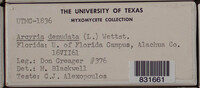 Image Associated With the Occurence